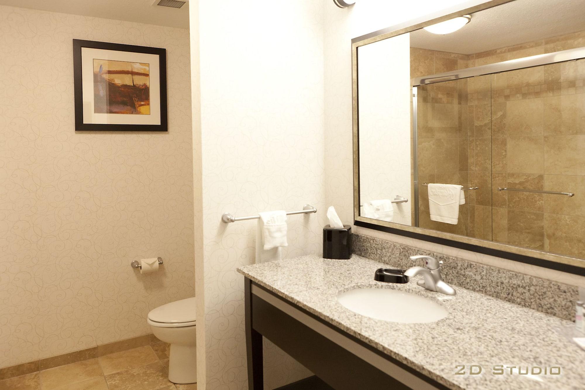 Hampton Inn & Suites By Hilton Lethbridge Dış mekan fotoğraf